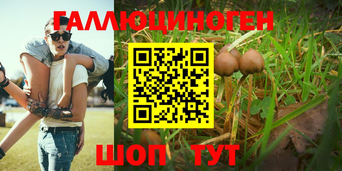 Галлюциногенные грибы Cubensis  купить наркоту  Псилоцибиновые грибы Psilocybe  Сухой Лог  Вход с VPN 
